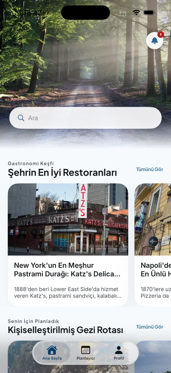 Wandarly ana sayfa ekranı